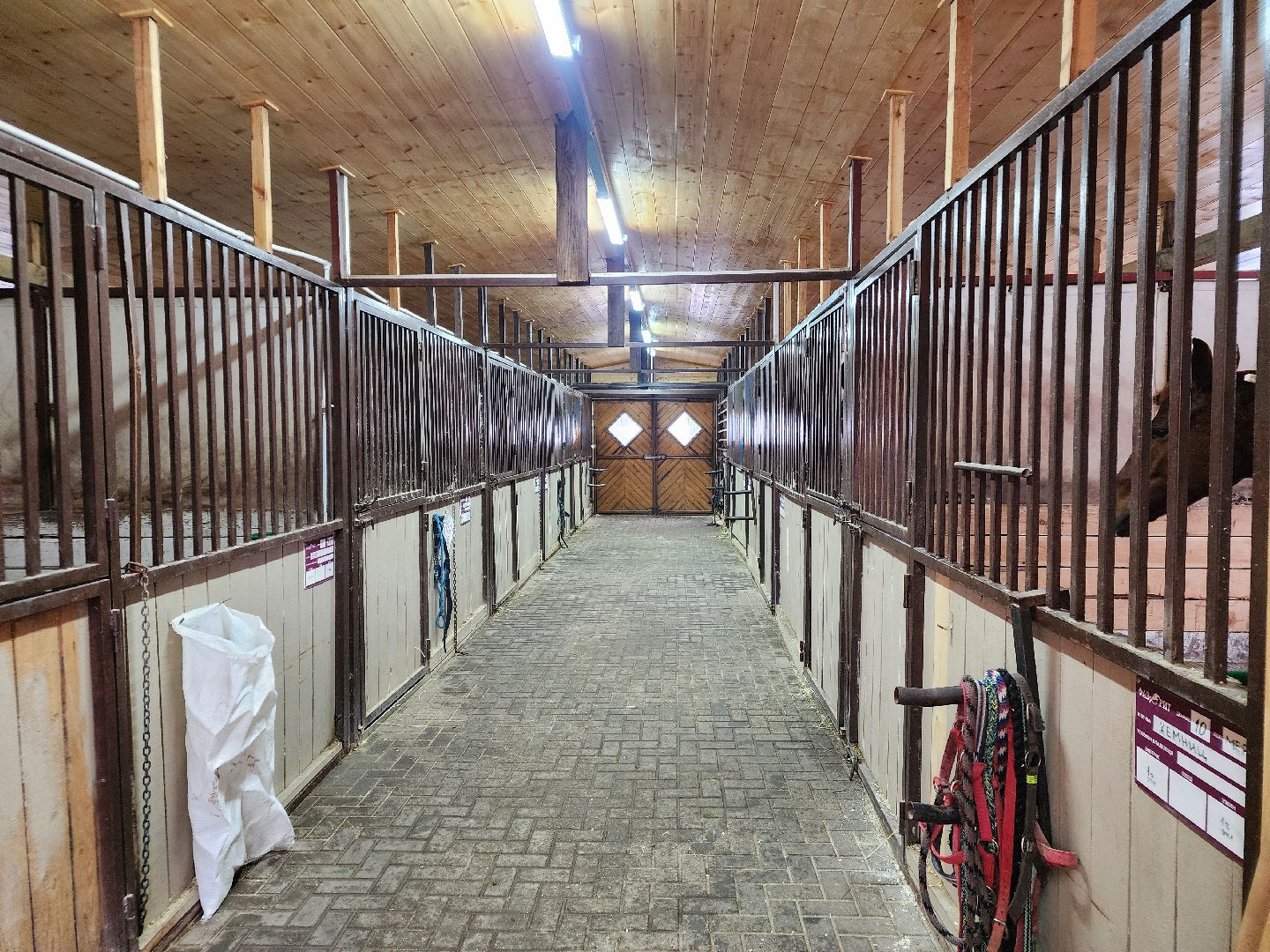 подольск, фаворит, Конноспортивный клуб,