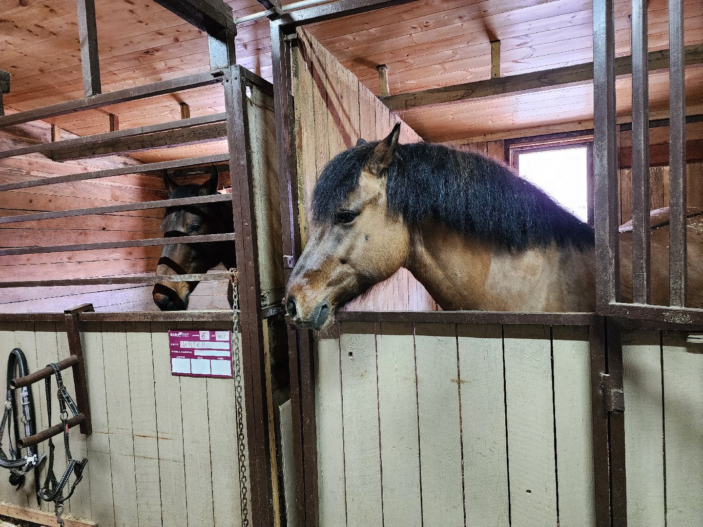 подольск, фаворит, Конноспортивный клуб,