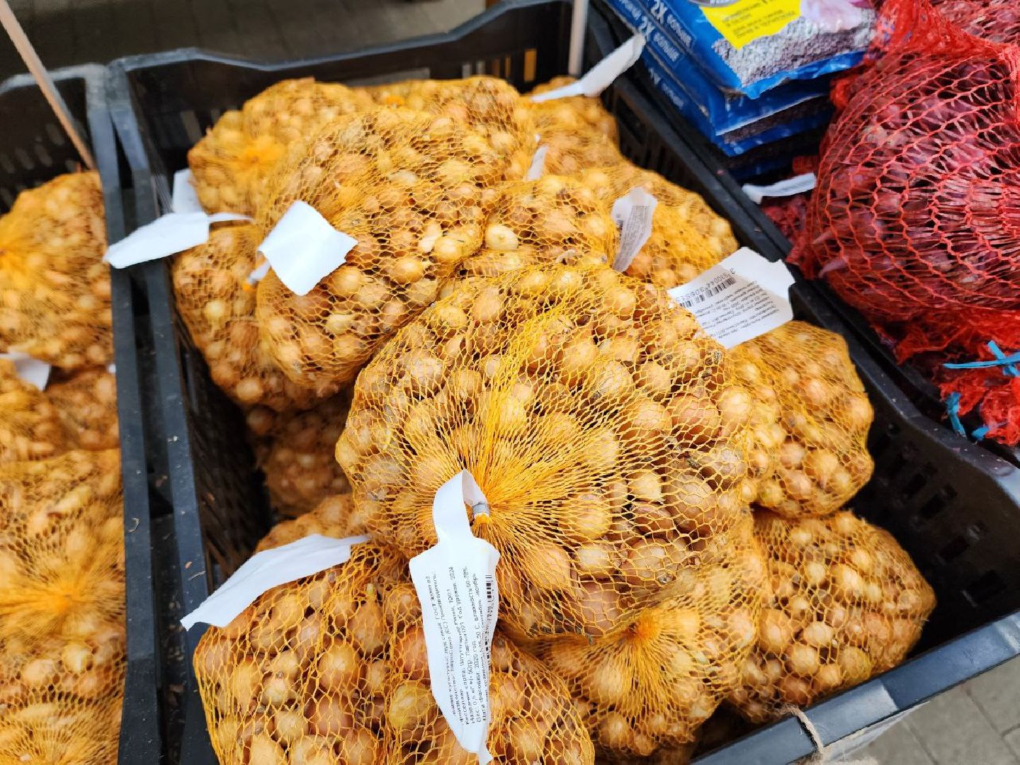 солнечногорск, дачники, сезон посадки, огород, жители,