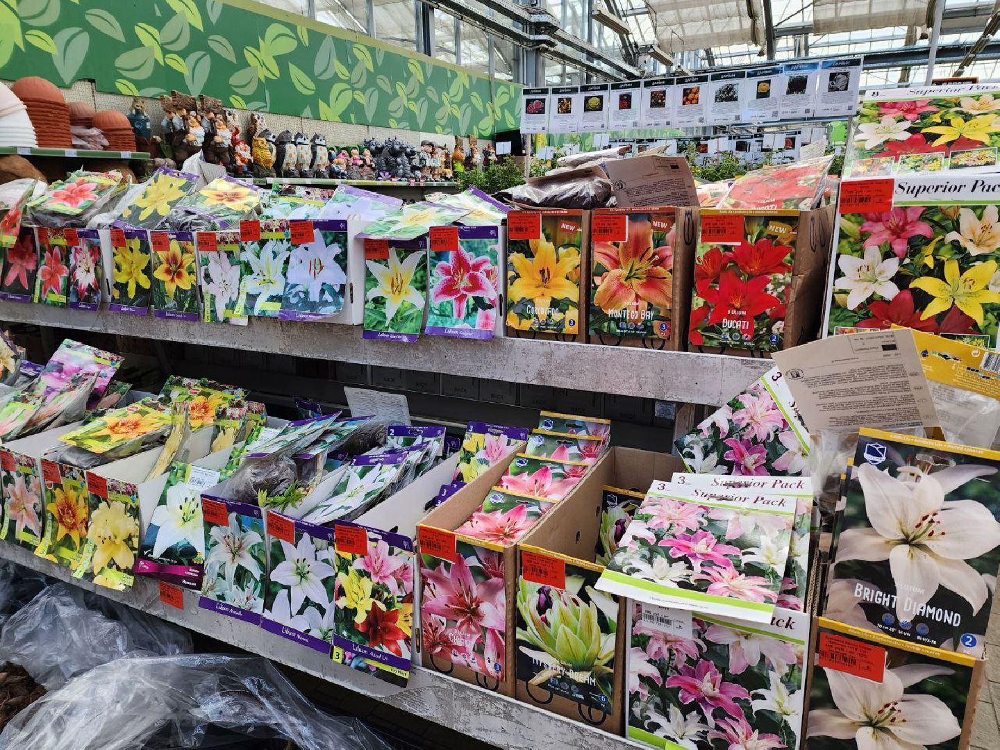 солнечногорск, дачники, сезон посадки, огород, жители,