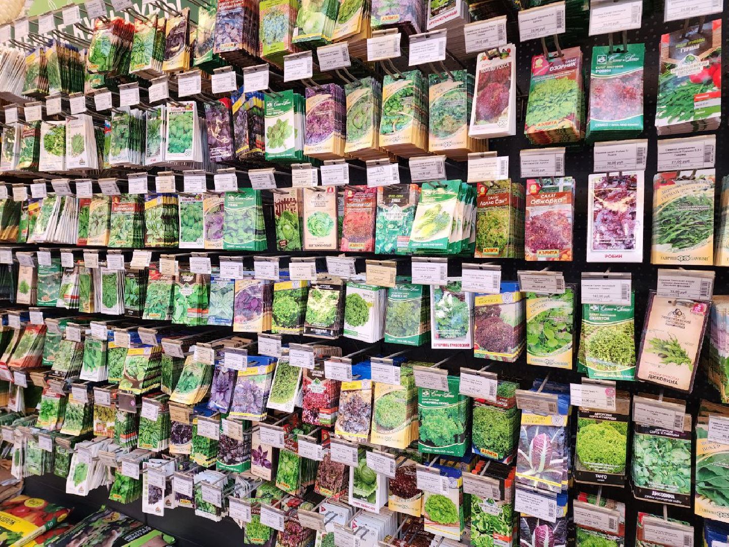 солнечногорск, дачники, сезон посадки, огород, жители,