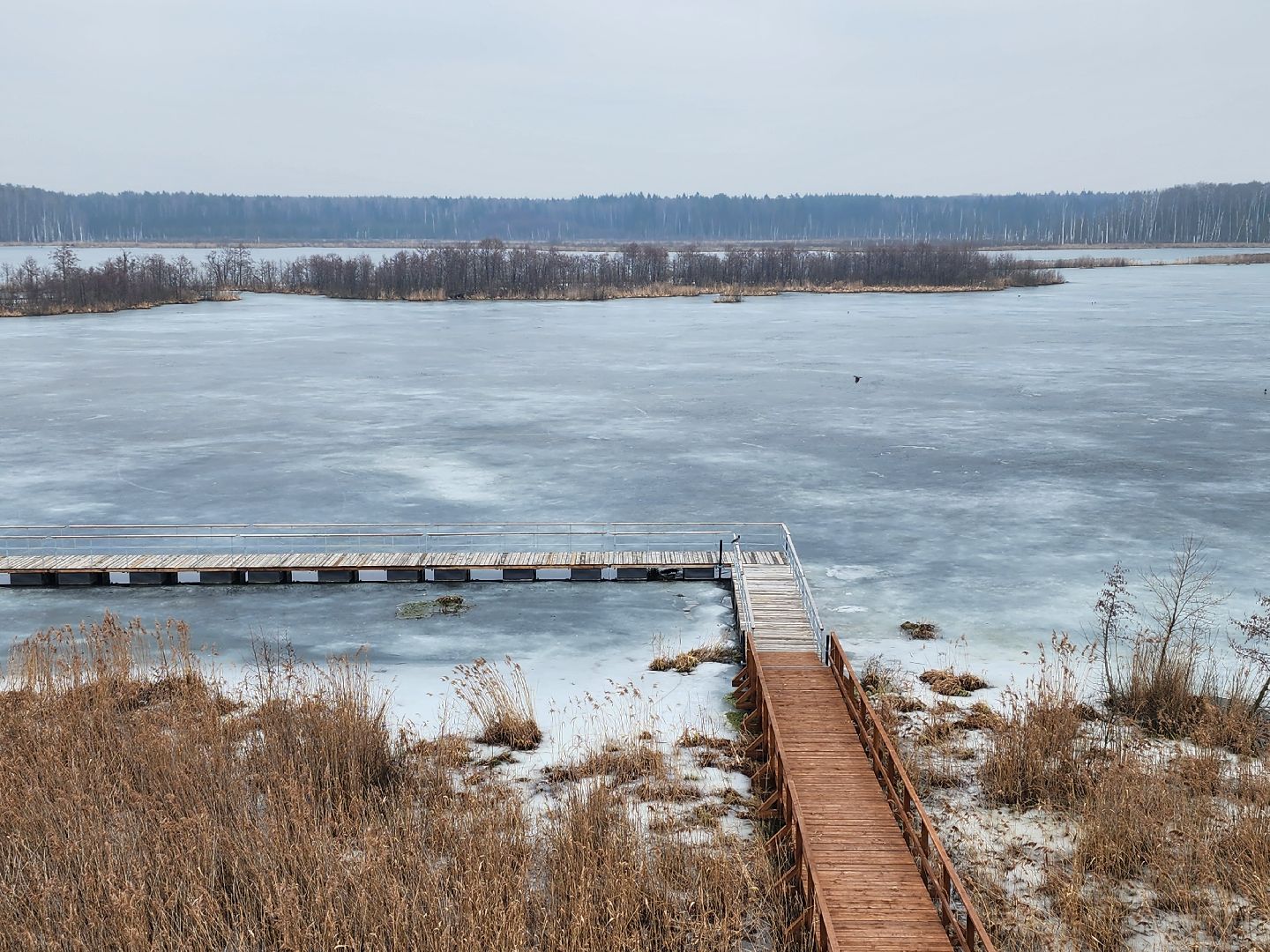 мытищи, лосиный остров,