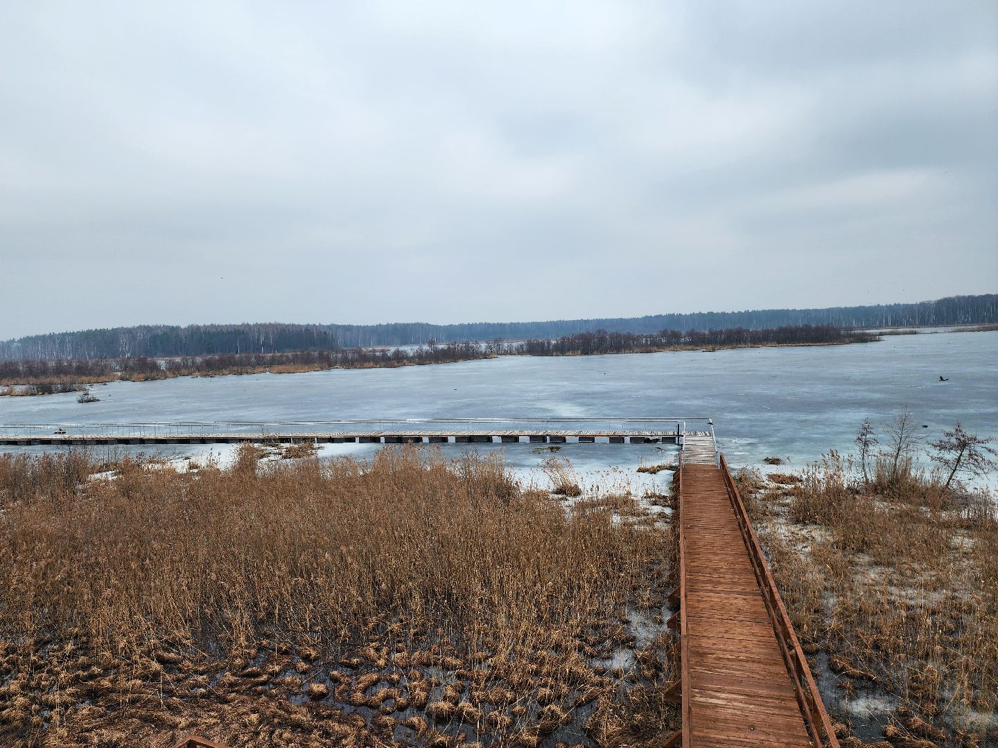 мытищи, лосиный остров,