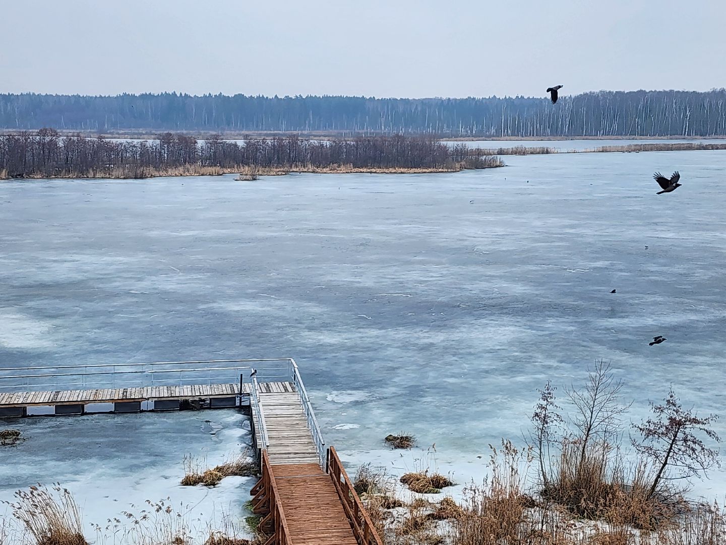 мытищи, лосиный остров,