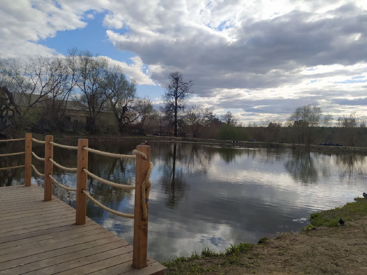 Дедовск, пруд, благоустройство, голосование