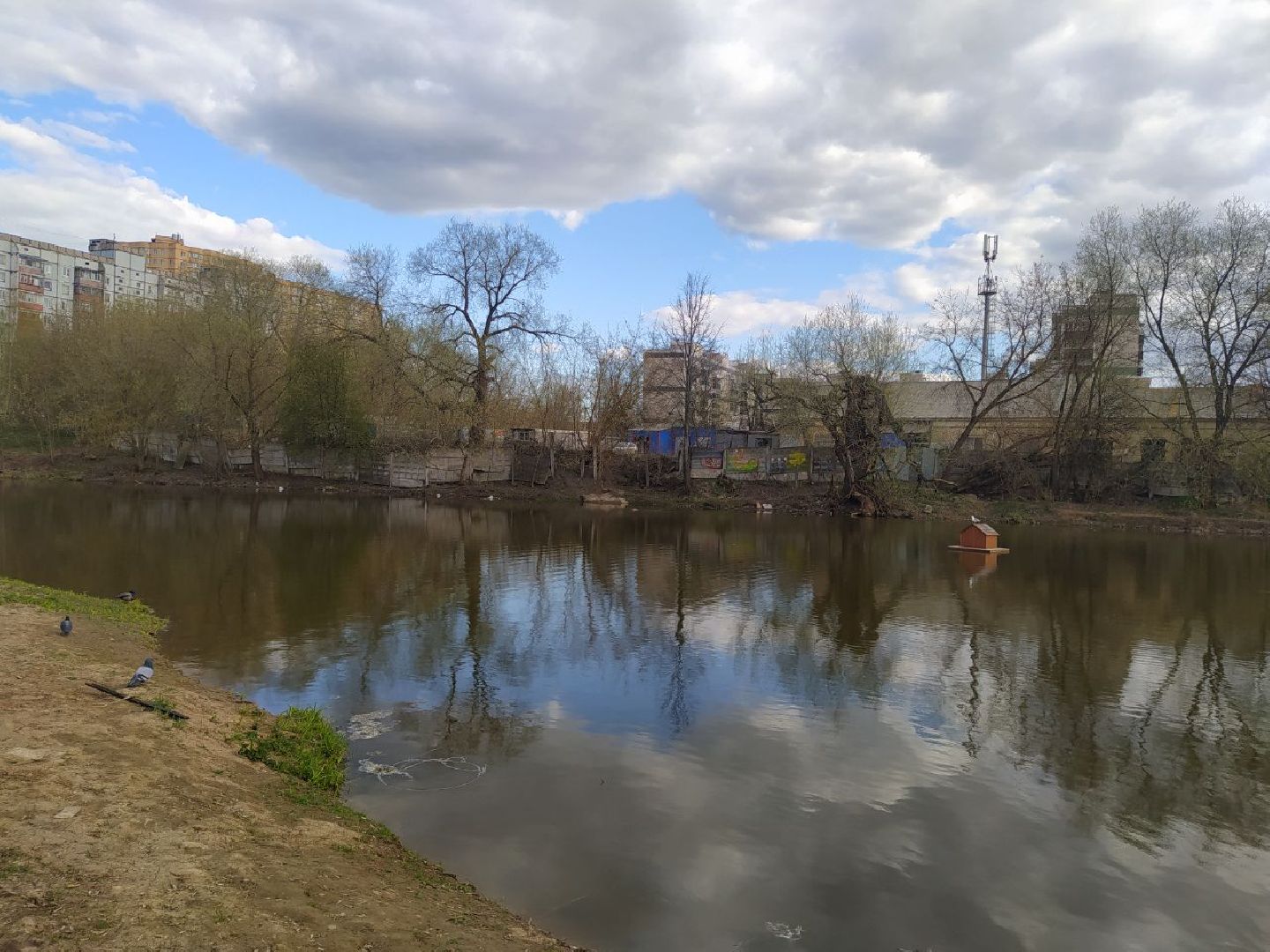 Дедовск, пруд, благоустройство, голосование