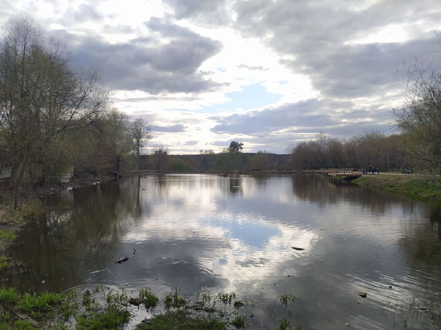 Дедовск, пруд, благоустройство, голосование