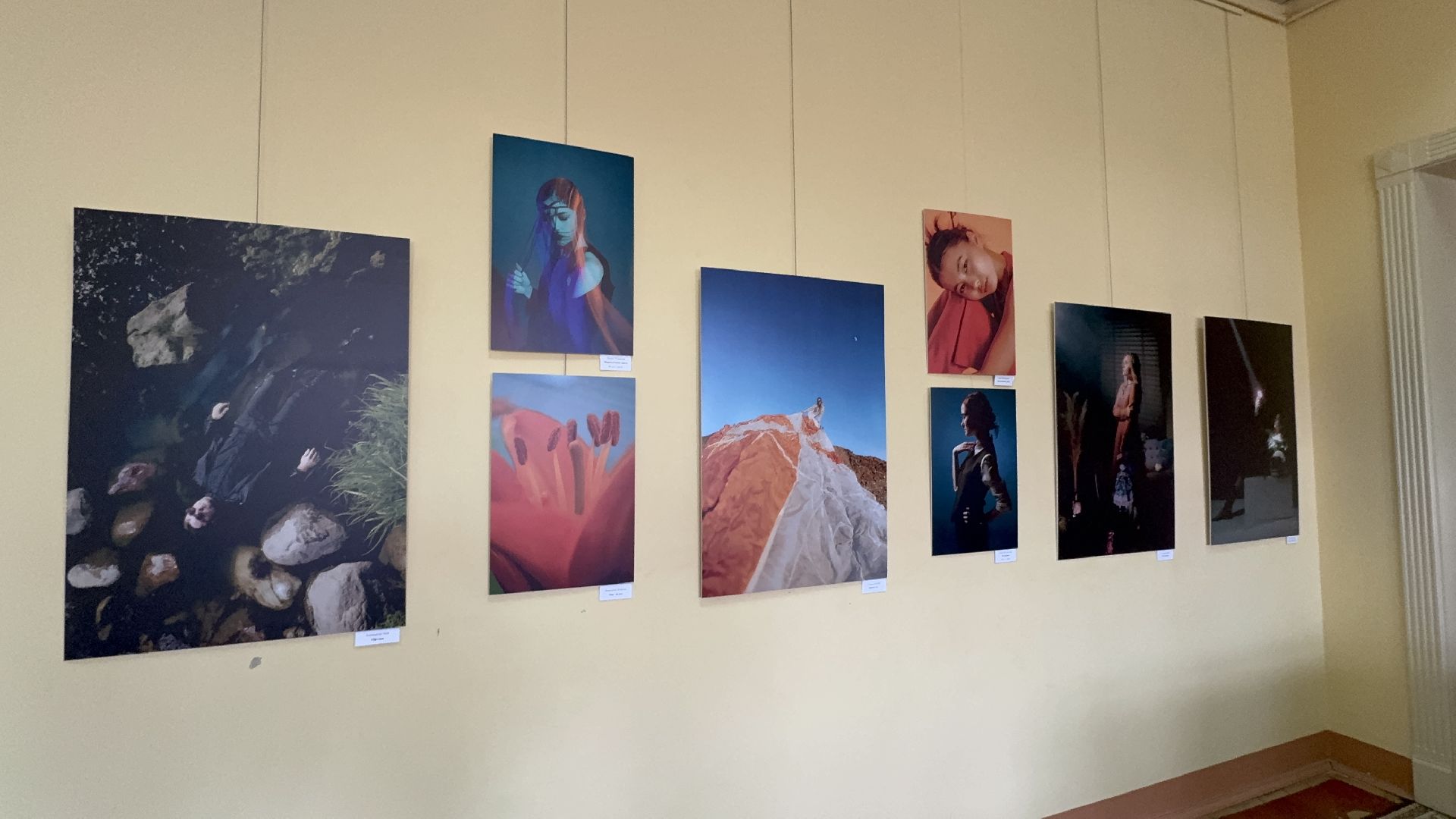 солнечногорск, фотовыставка, путевой дворец, жители, фотографии,