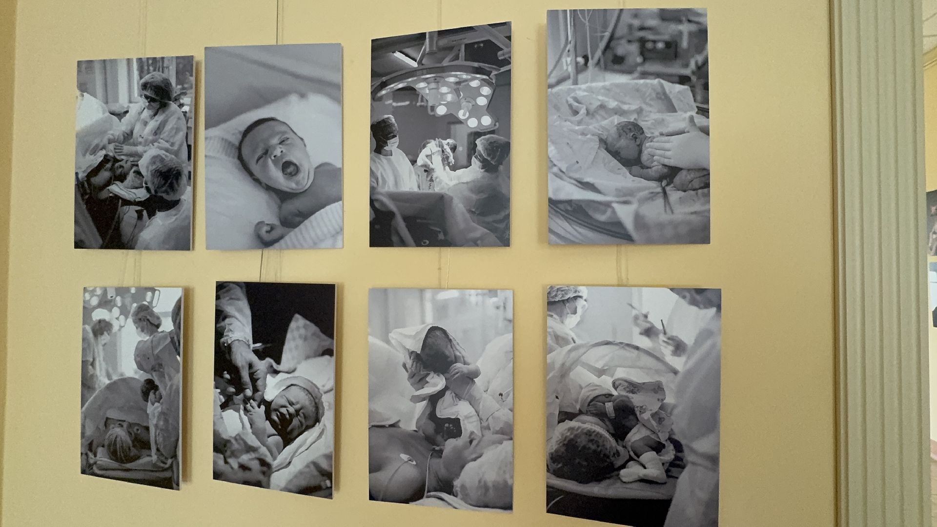 солнечногорск, фотовыставка, путевой дворец, жители, фотографии,