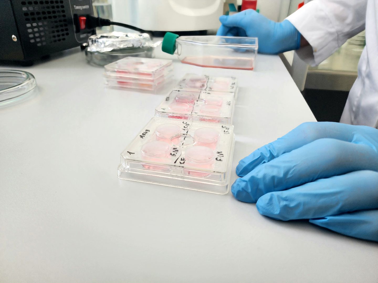 пущино, серпухов, наука, медицина, инновации,