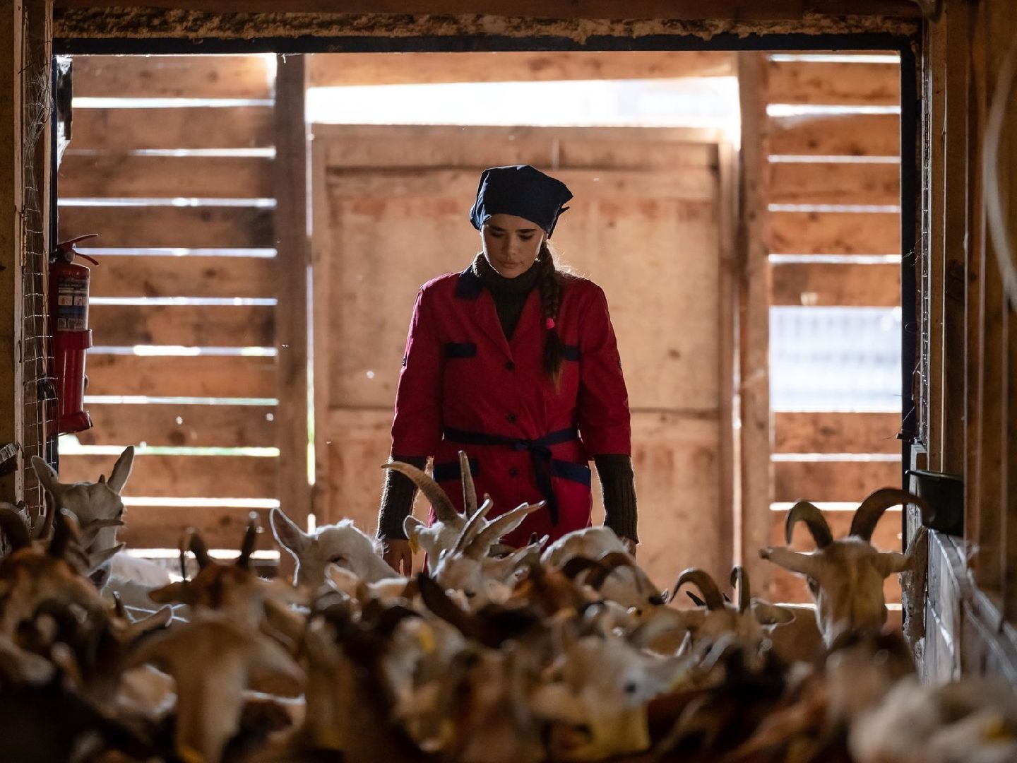 Экзотик ферма, Звездные животные, Одинцово, Экология,