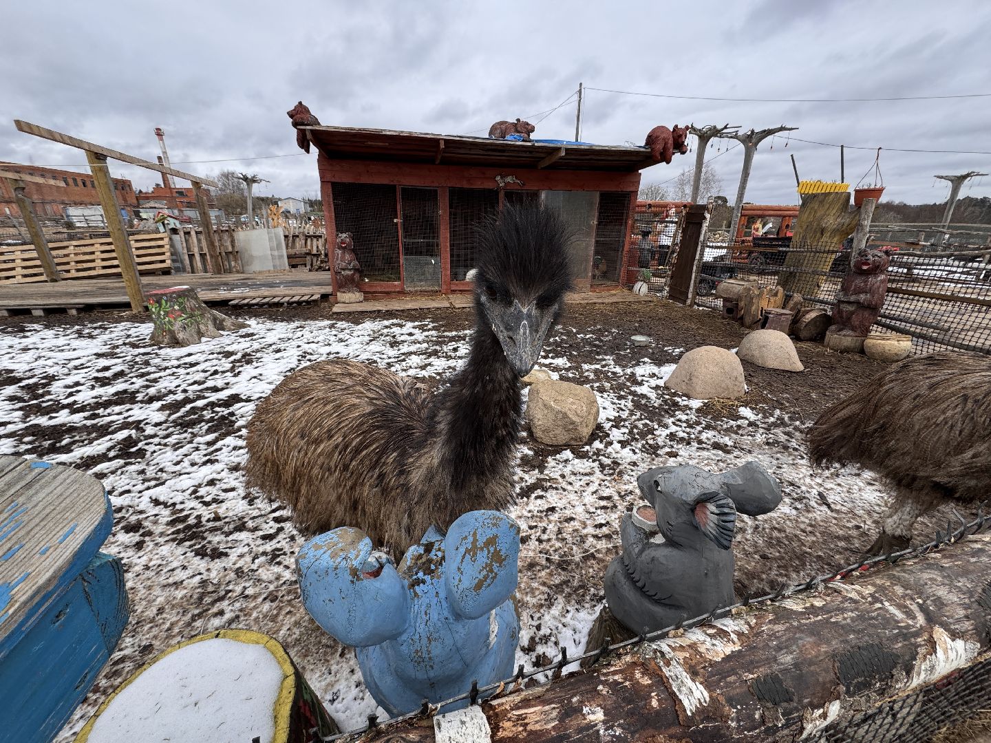 Экзотик ферма, Звездные животные, Одинцово, Экология,