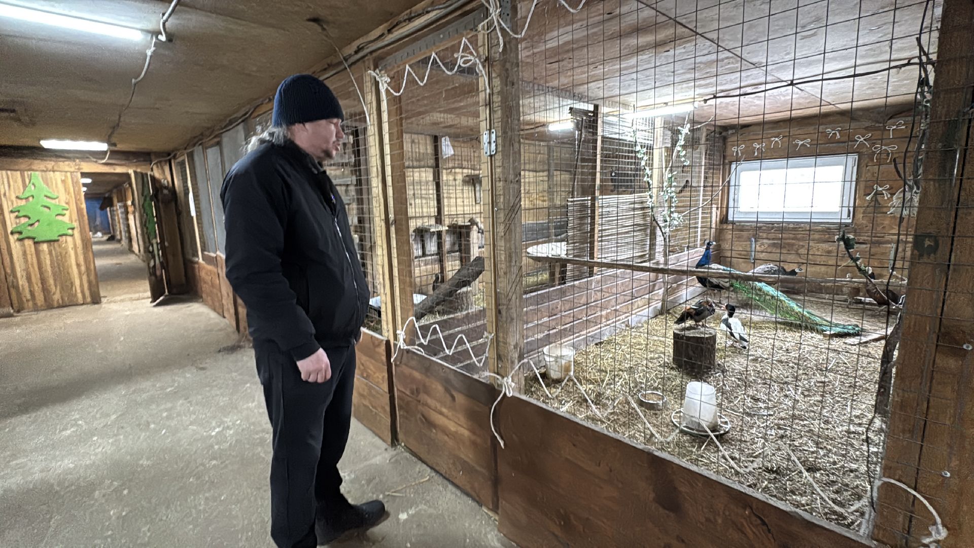 Экзотик ферма, Звездные животные, Одинцово, Экология,