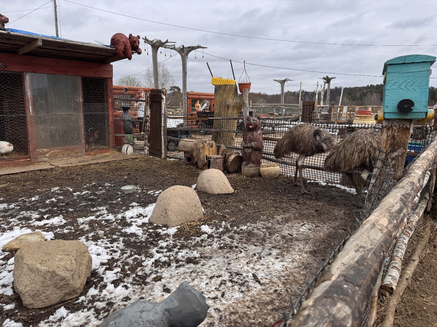 Экзотик ферма, Звездные животные, Одинцово, Экология,