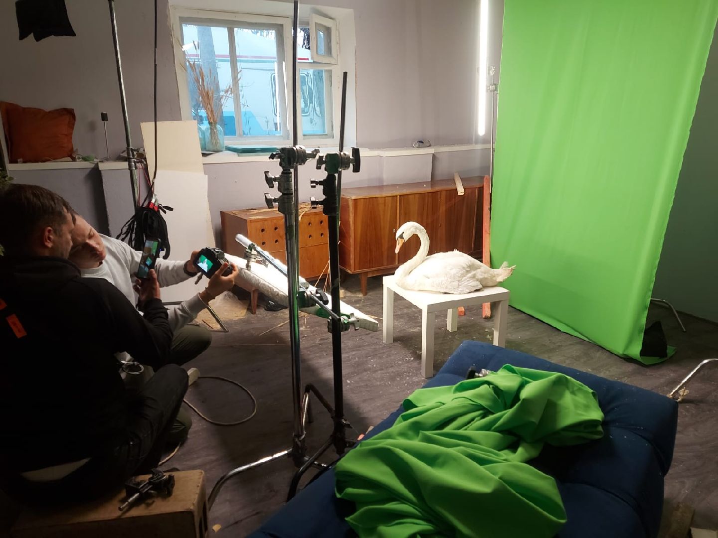 Экзотик ферма, Звездные животные, Одинцово, Экология,