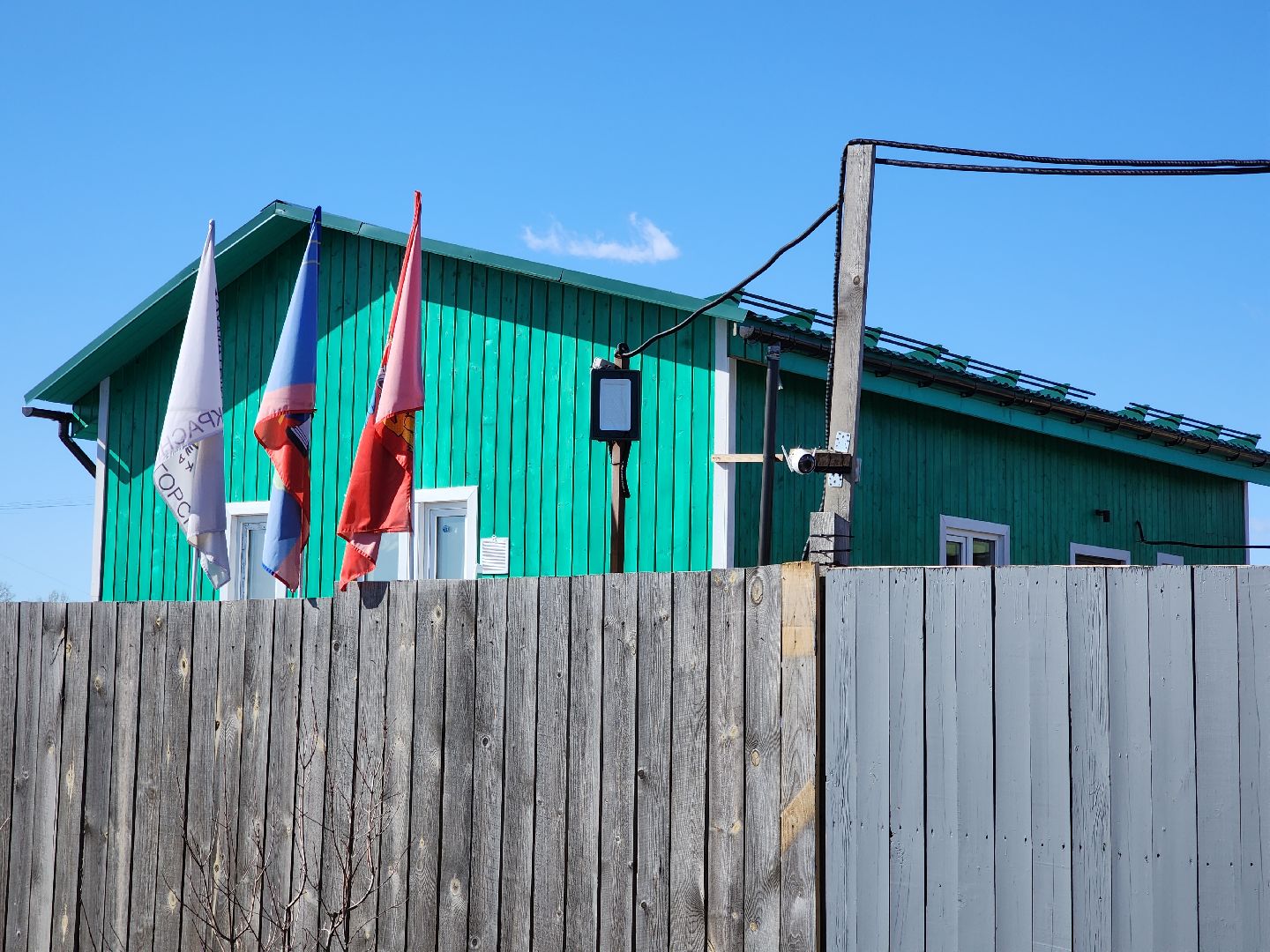 красногорск, приют для животных, лохматый ангел,