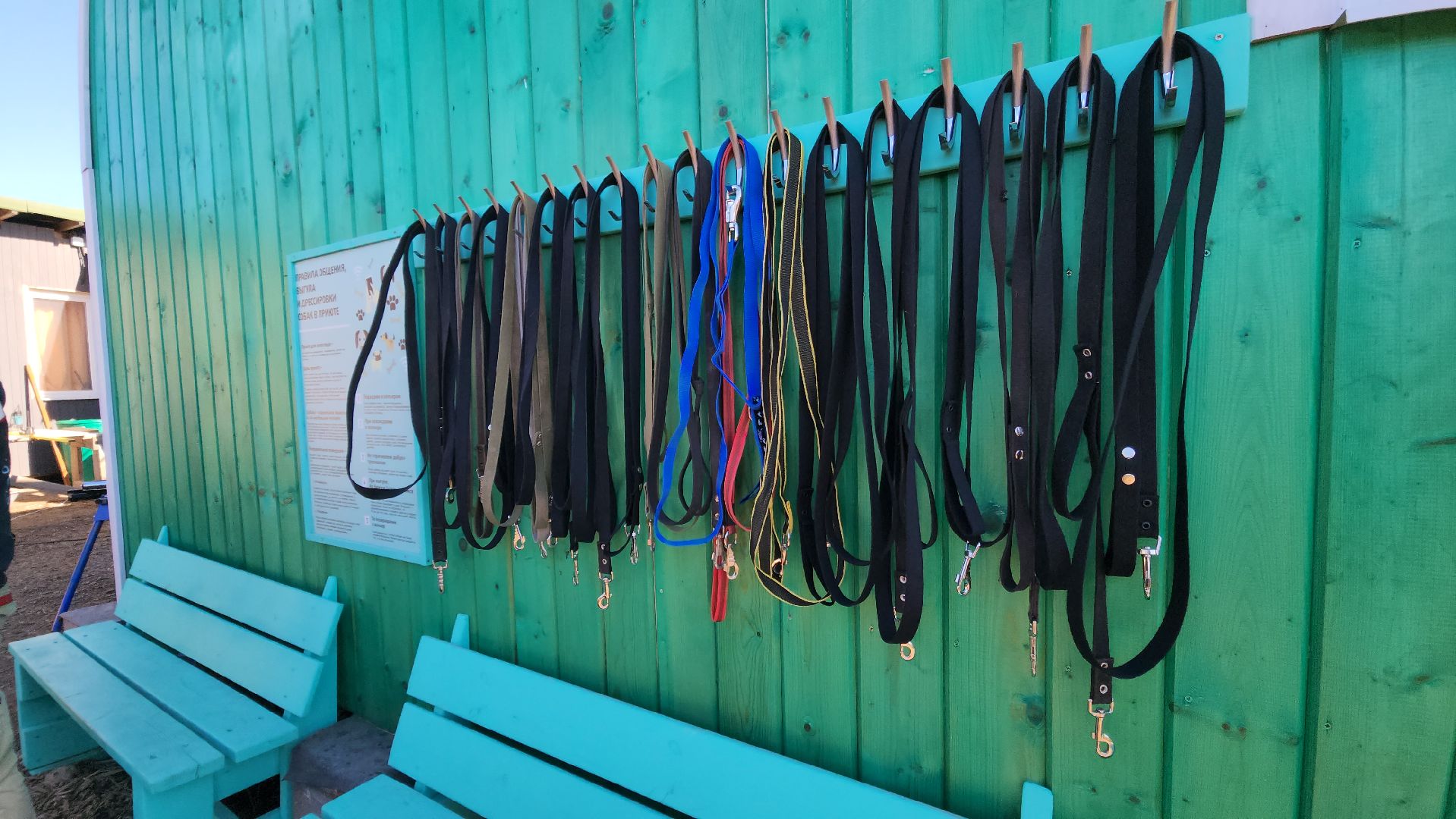 красногорск, приют для животных, лохматый ангел,