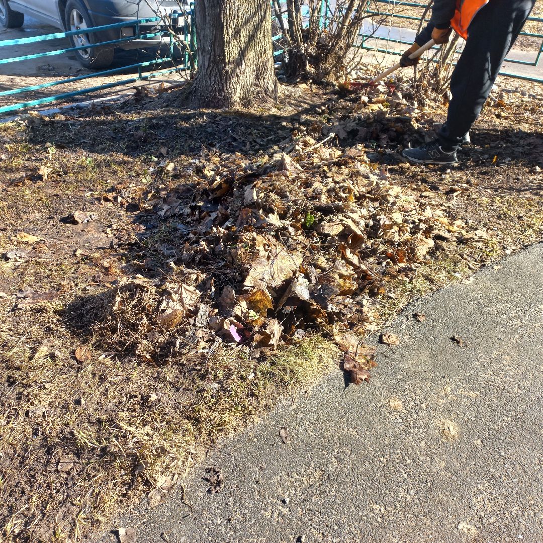 сергиев посад, дворы, уборка города,