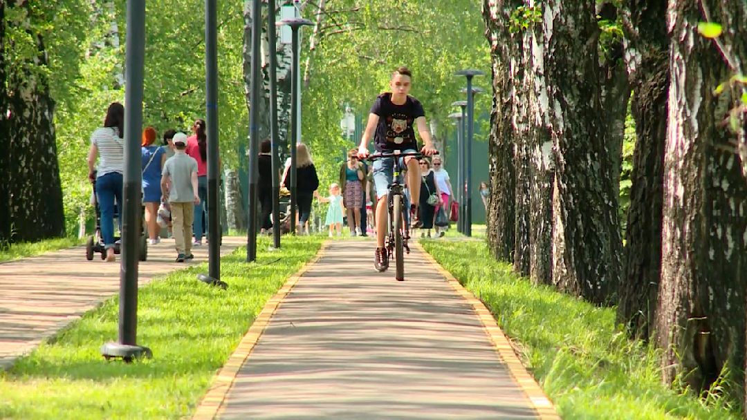 кража, велосипед, вор, ЧП, полиция, Реутов