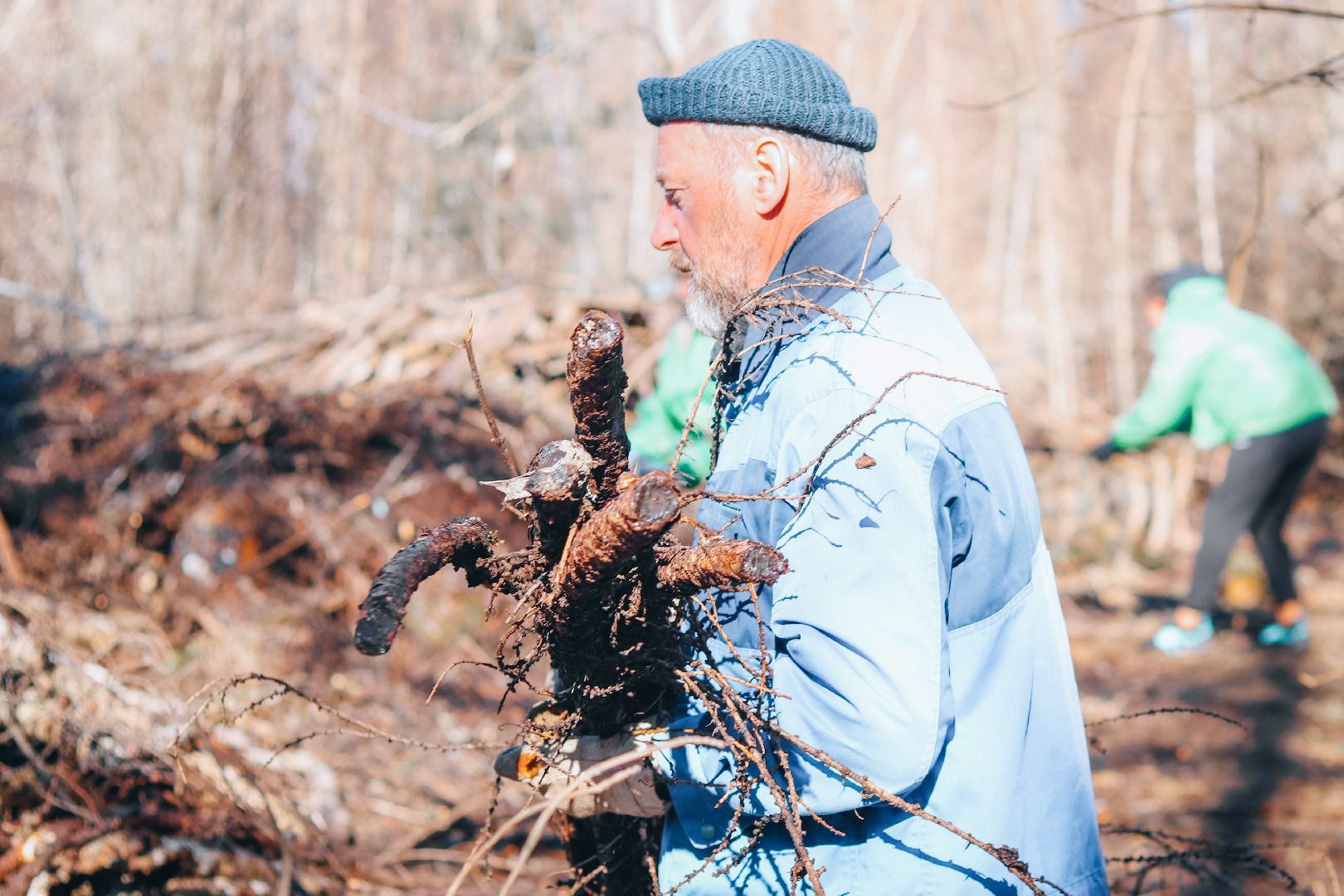 Клин, общество, благоустройство, опиловка деревьев, парки подмосковья,