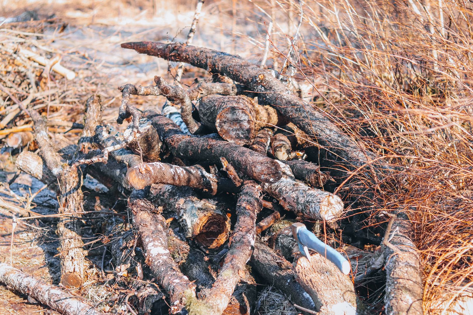 Клин, общество, благоустройство, опиловка деревьев, парки подмосковья,