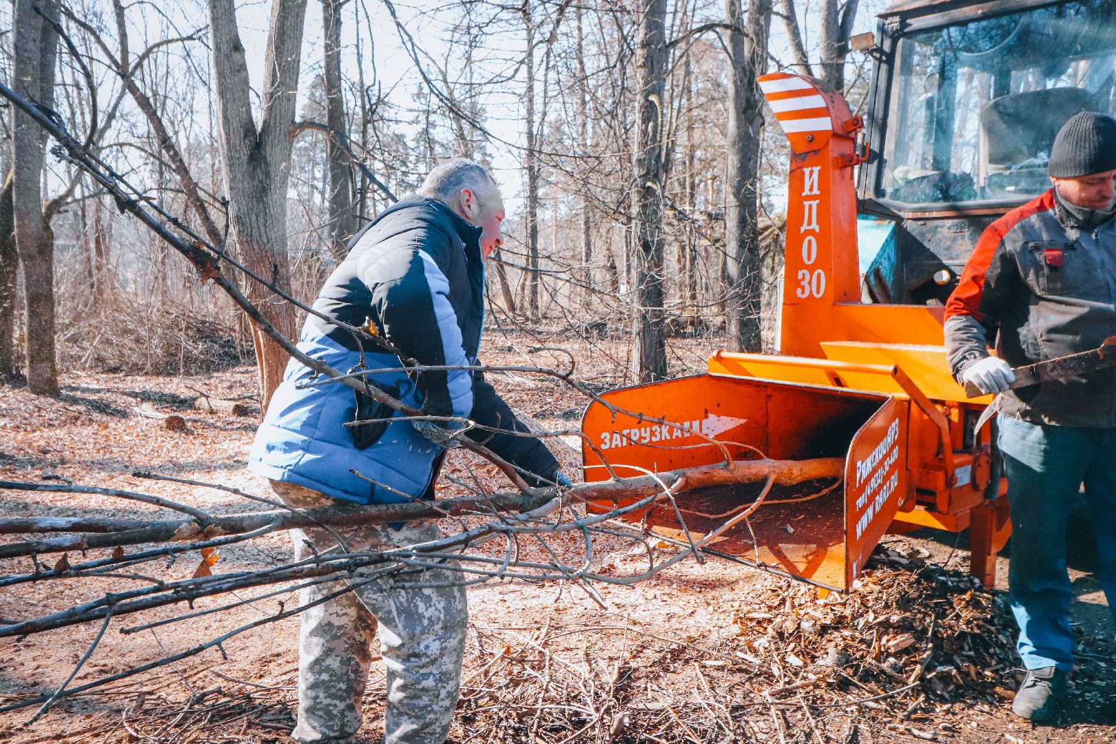 Клин, общество, благоустройство, опиловка деревьев, парки подмосковья,