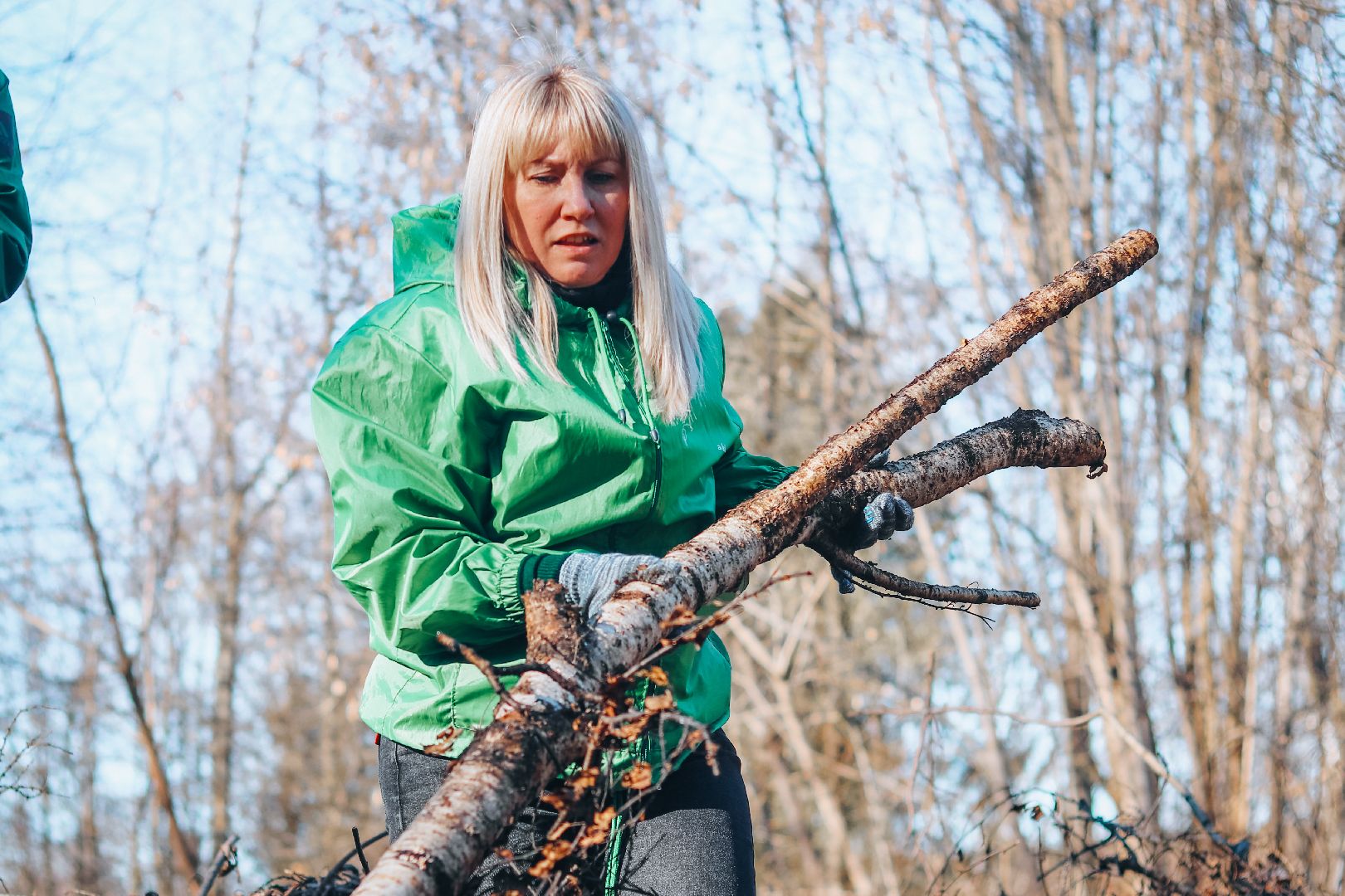 Клин, общество, благоустройство, опиловка деревьев, парки подмосковья,