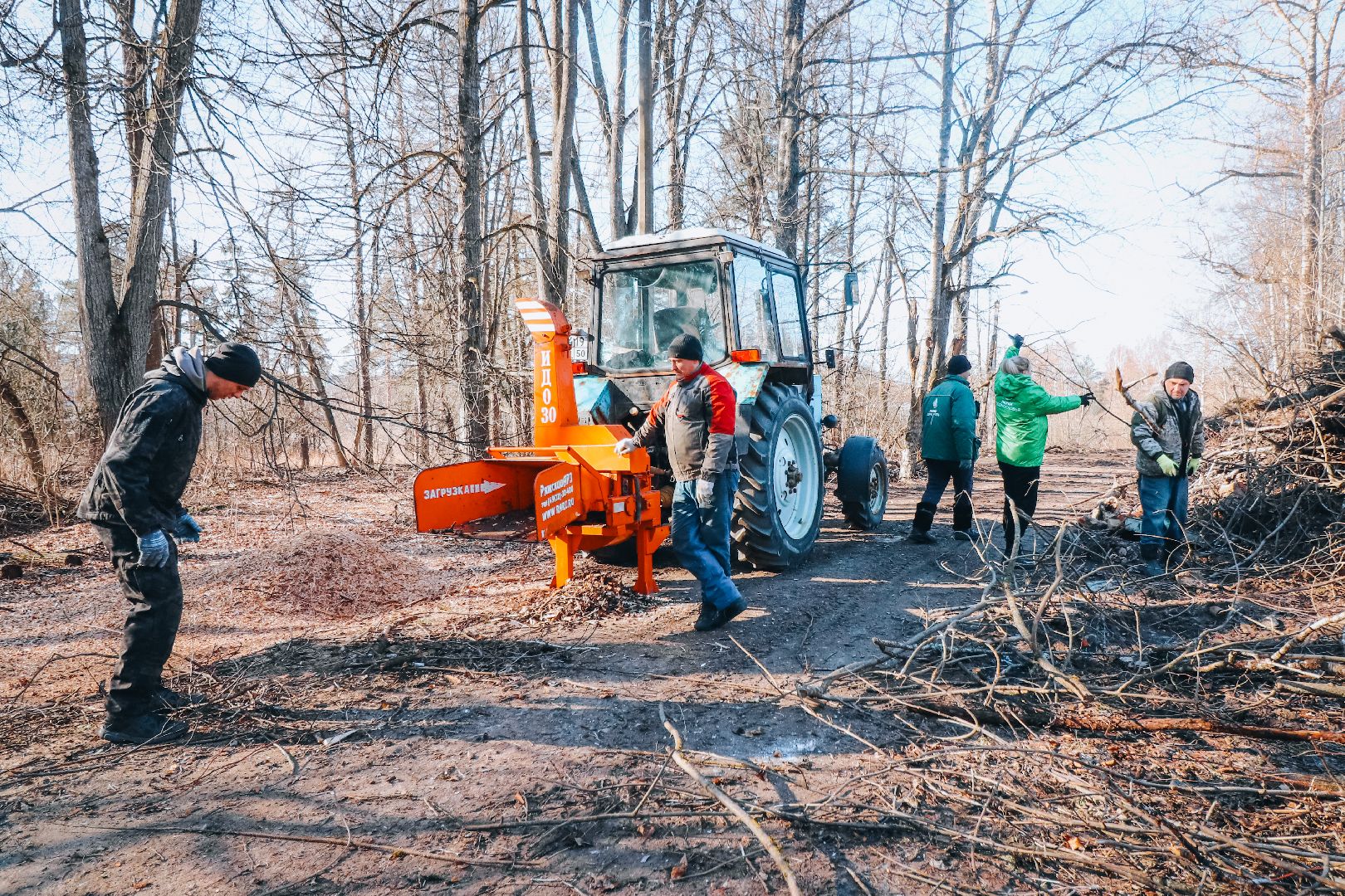 Клин, общество, благоустройство, опиловка деревьев, парки подмосковья,