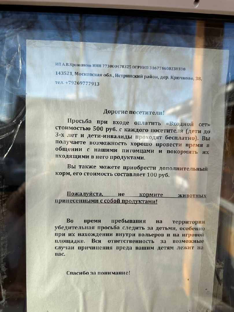 Зоопарк, Истра, Животные,Кенгуру,