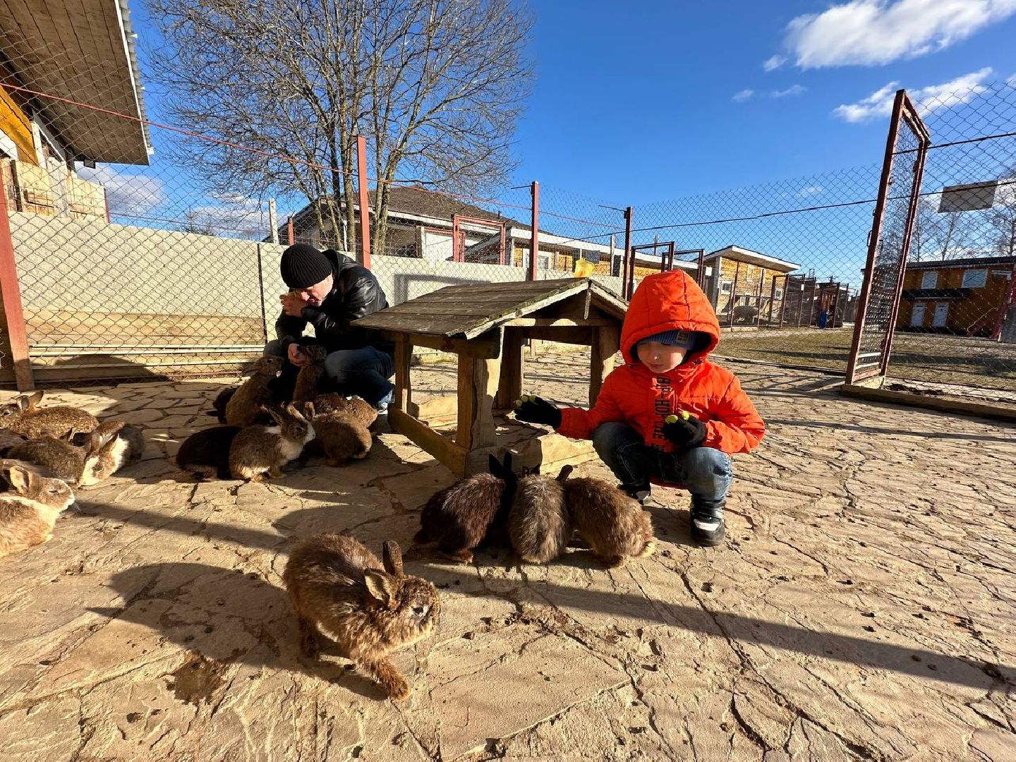 Зоопарк, Истра, Животные,Кенгуру,