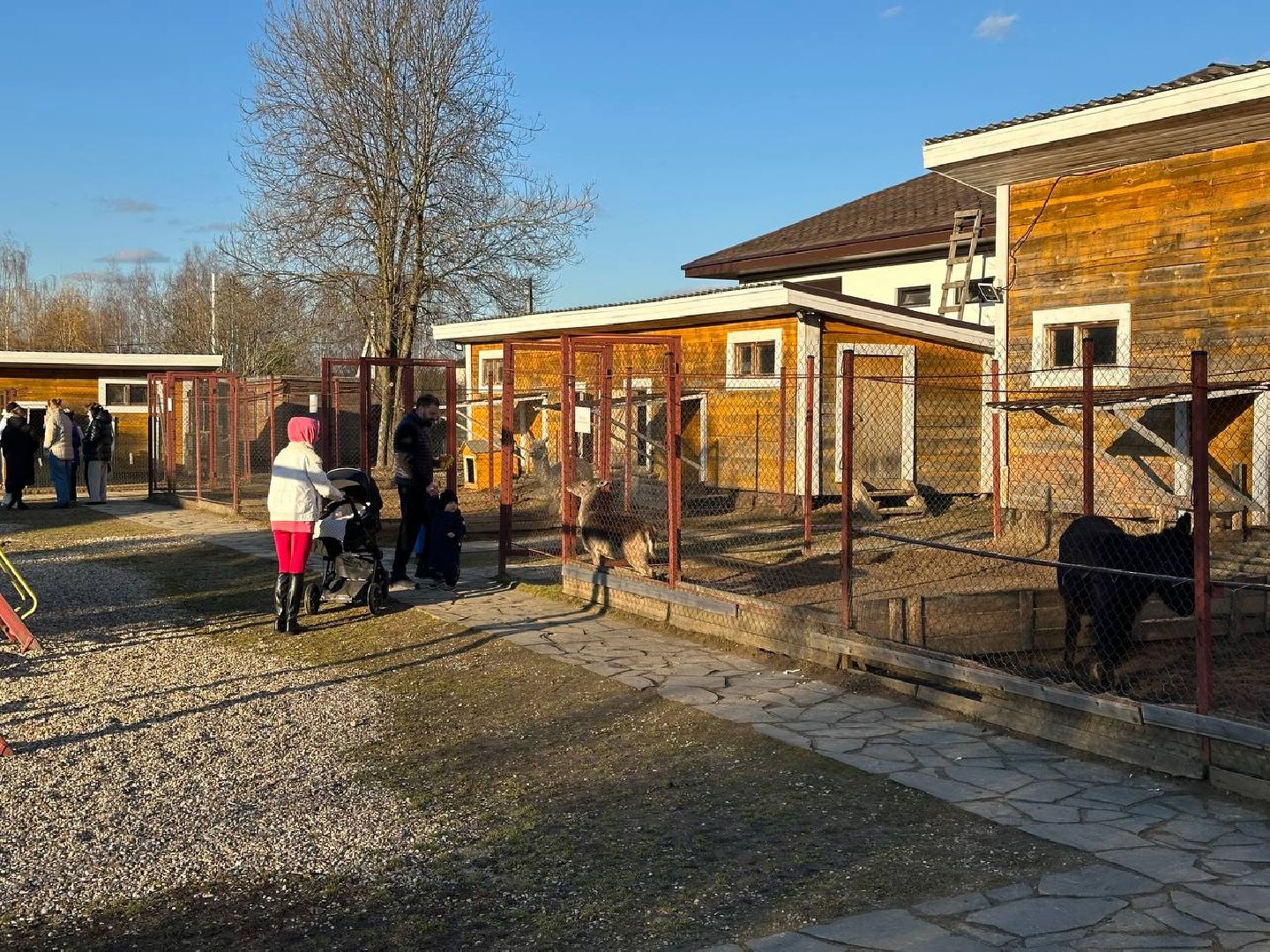 Зоопарк, Истра, Животные,Кенгуру,