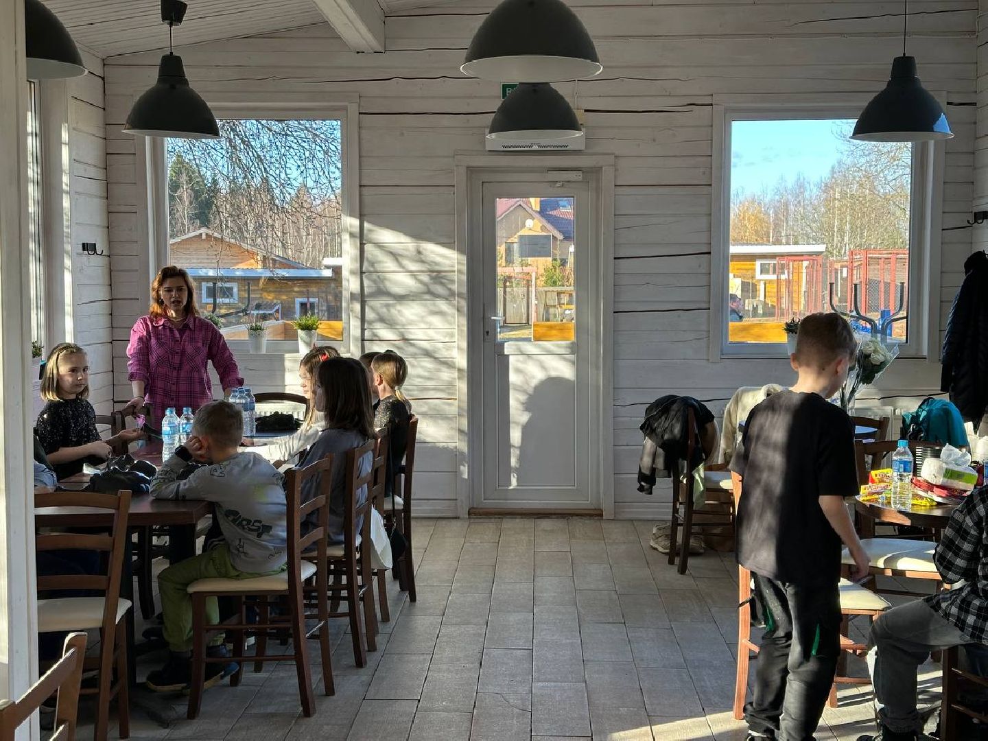 Зоопарк, Истра, Животные,Кенгуру,