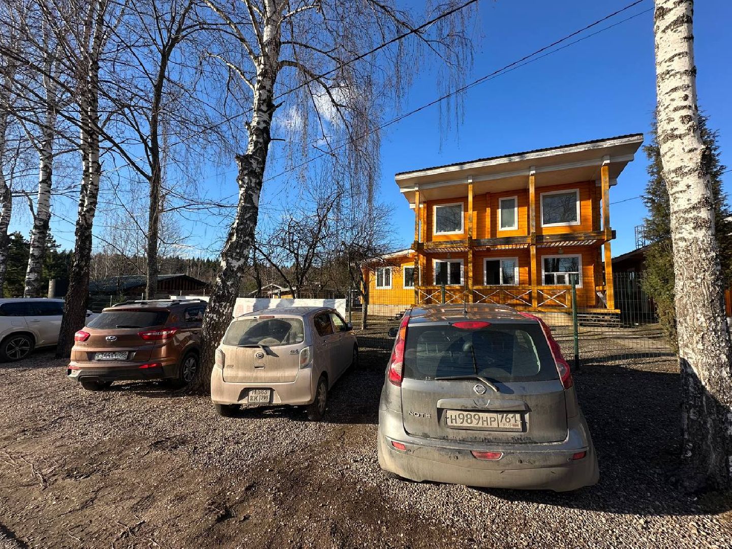 Зоопарк, Истра, Животные,Кенгуру,