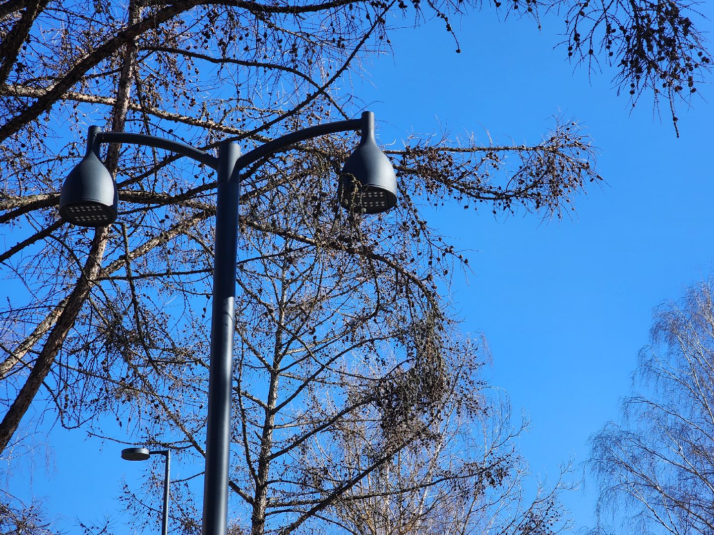 дубна, центральная улица, левый берег, благоустройство, национальный проект, национальный проект жилье и городская среда, мнение жителей,