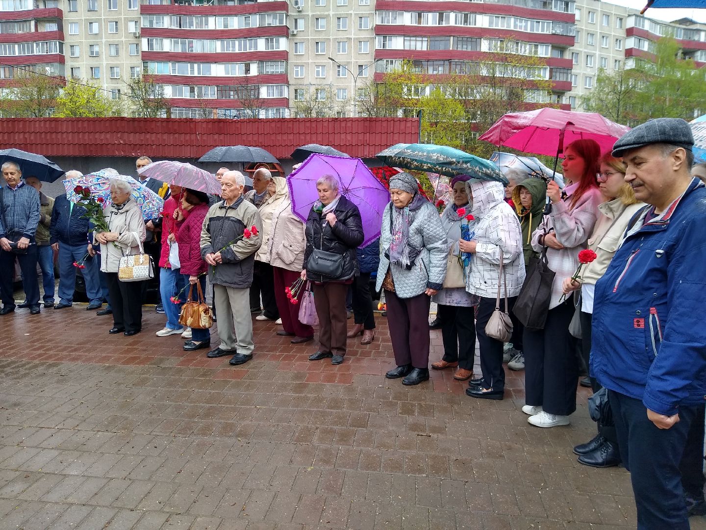 Раменское, общество, митинг