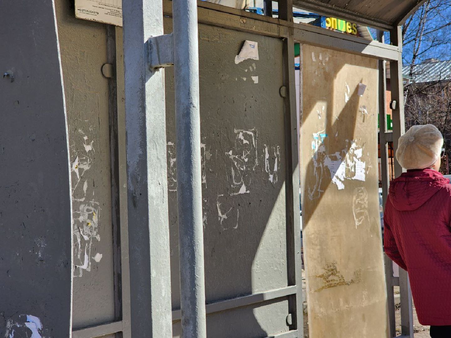 солнечногорск, пассажиры, автобусы, общественный транспорт, маршрут,