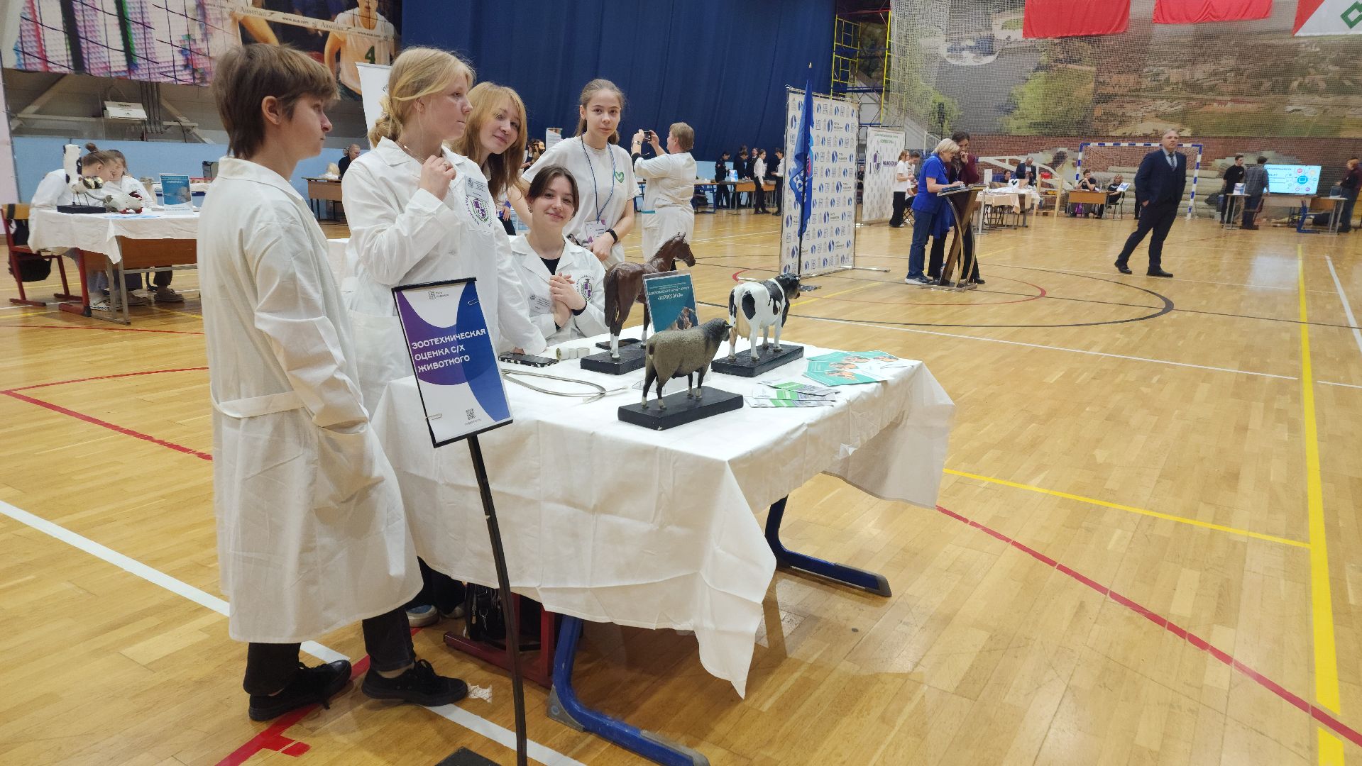 фестиваль профессий, путь навыков, волоколамск,