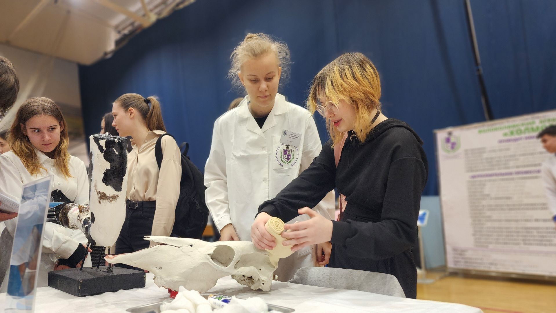 фестиваль профессий, путь навыков, волоколамск,