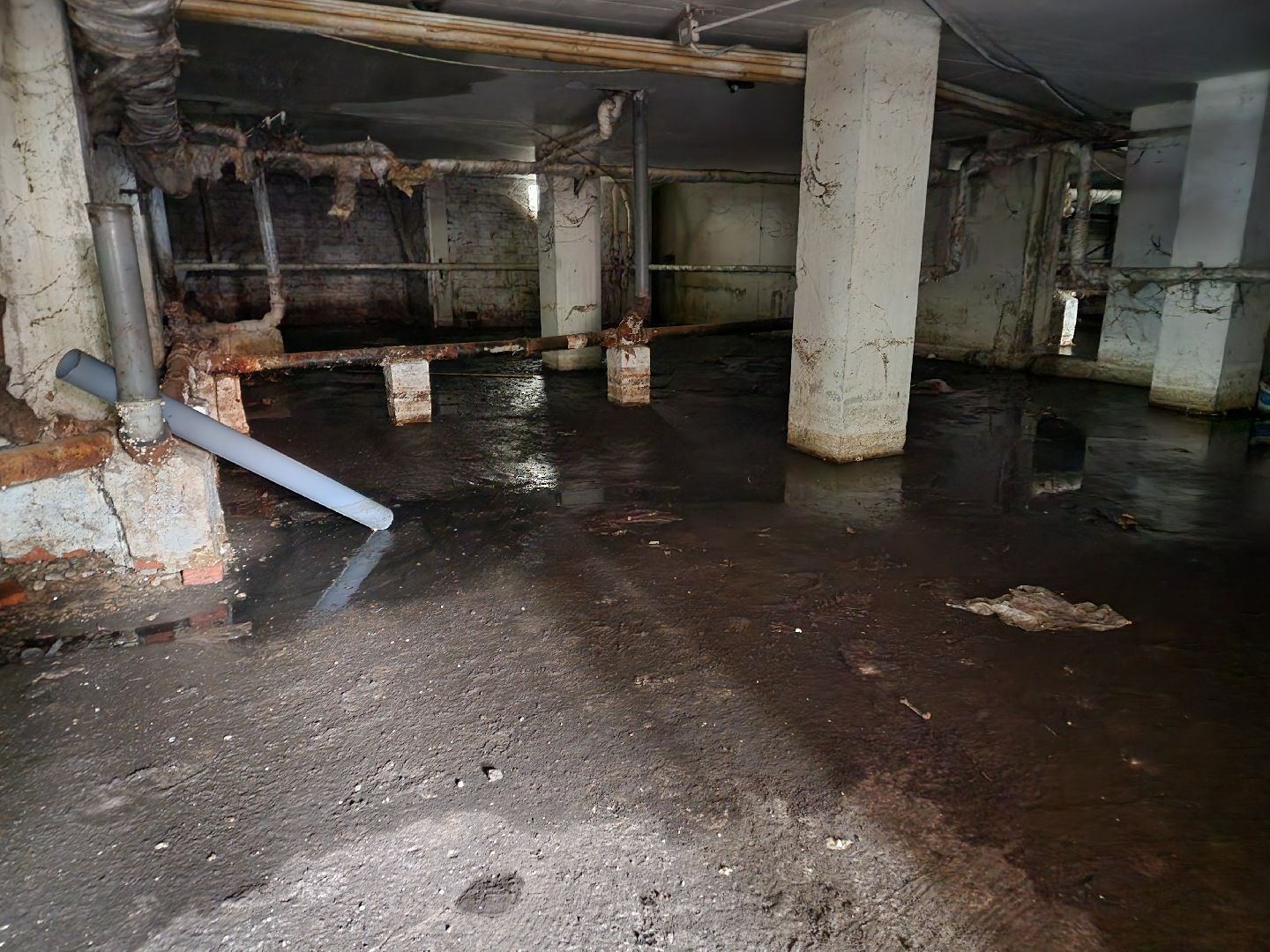 Чехов, Вишневый бульвар 4а, жилой дом, подтопление подвала, протечка, грунтовые воды, засор канализации, запахи канализации, комары, сырость, устранение проблемы, откачка воды, просушка, дезинфекция,