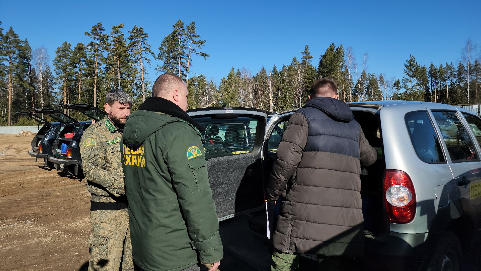 Егорьевск, Подмосковье, Лес, Московская область,