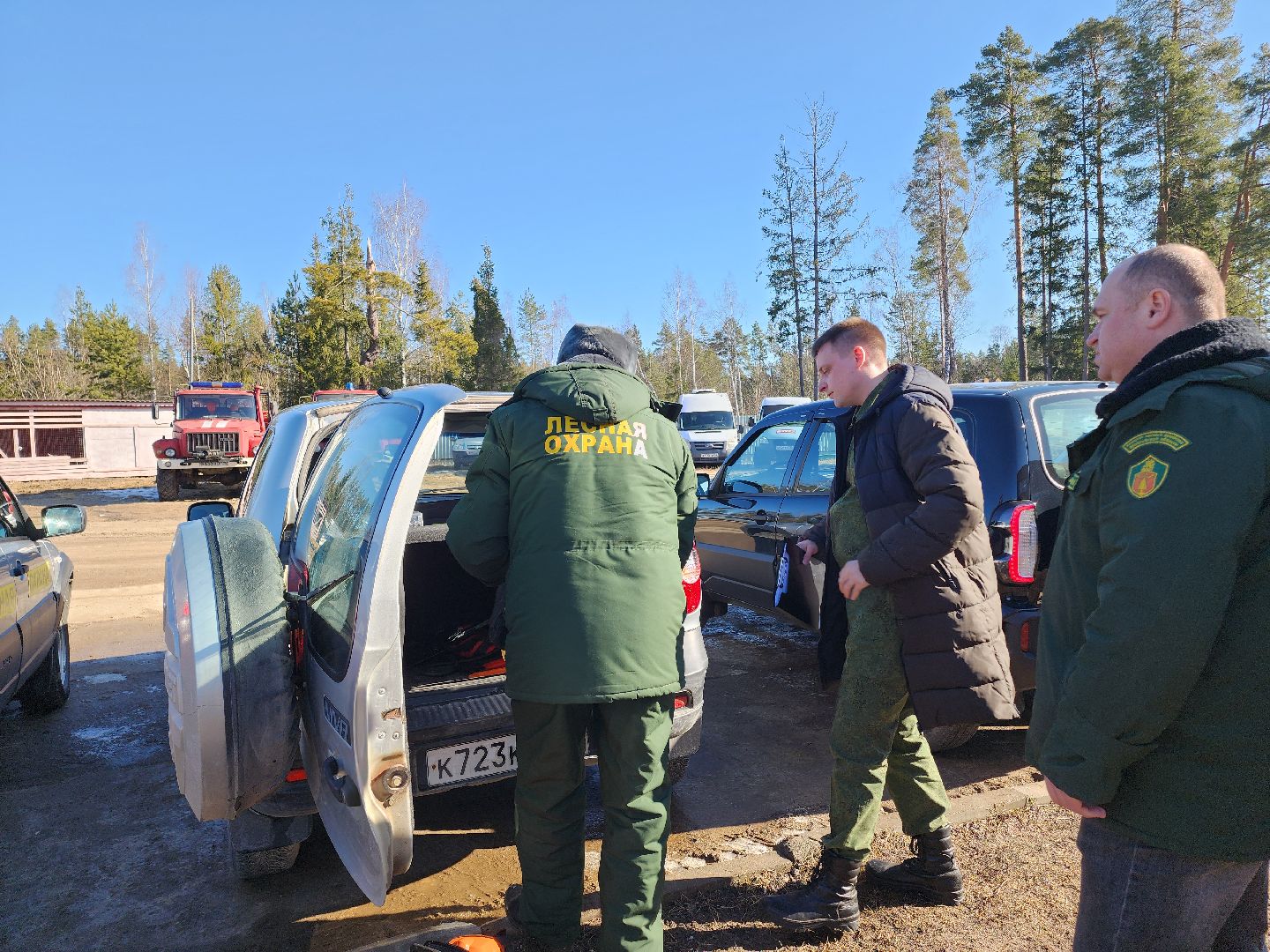Егорьевск, Подмосковье, Лес, Московская область,