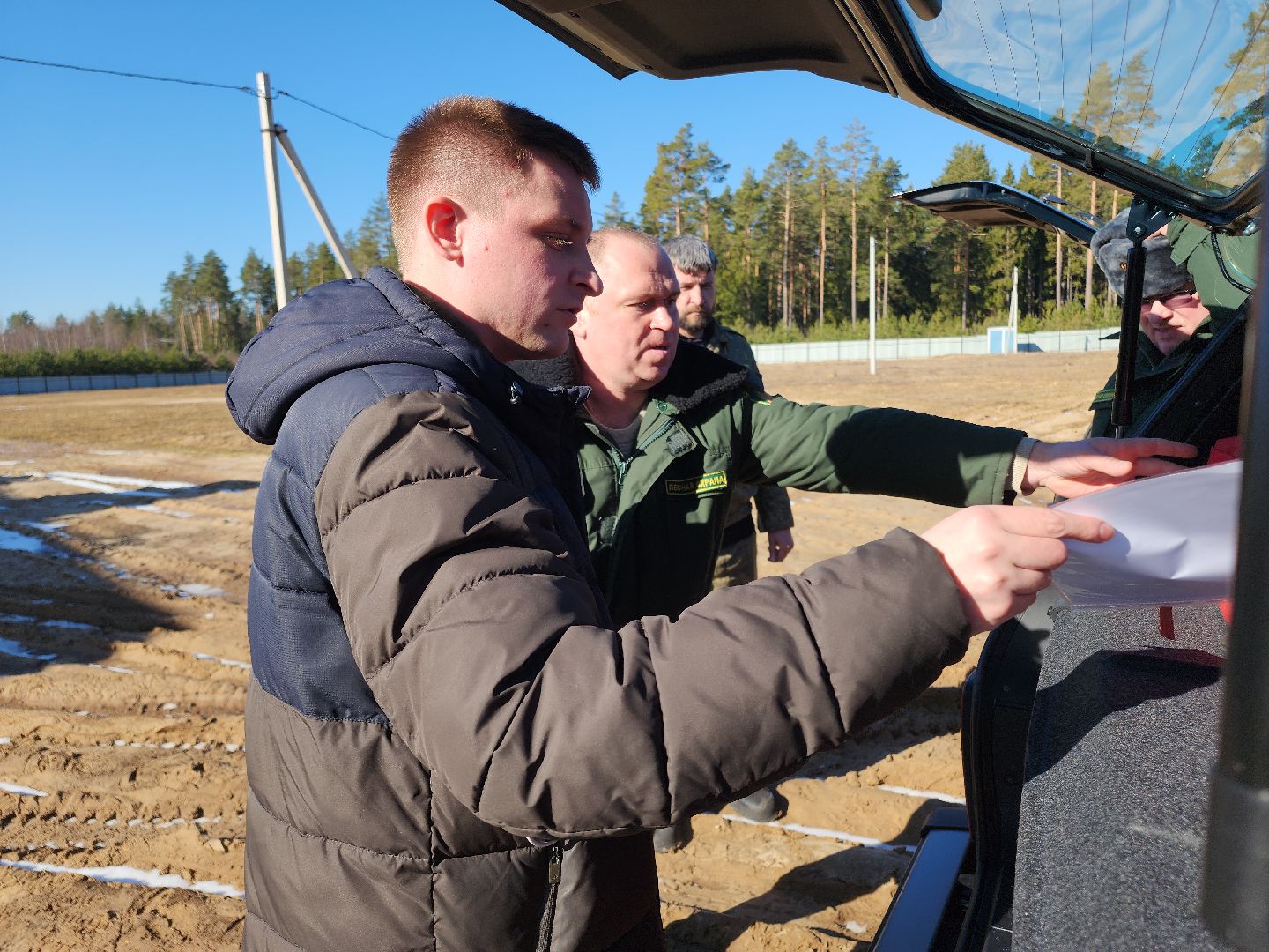 Егорьевск, Подмосковье, Лес, Московская область,