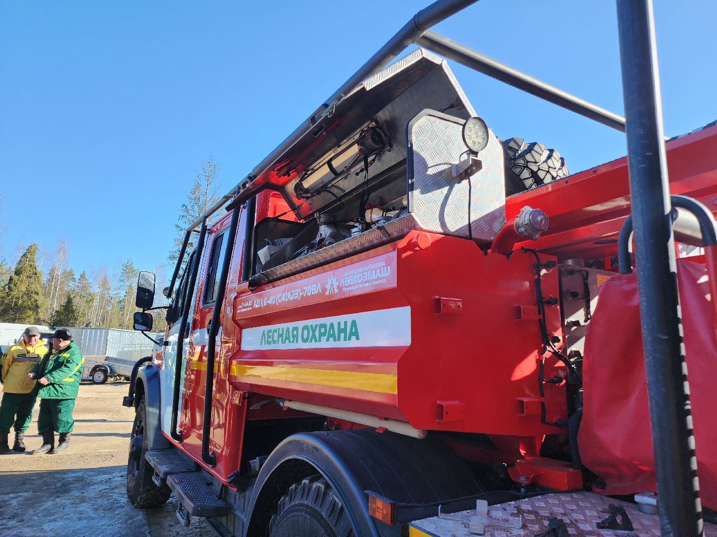 Егорьевск, Подмосковье, Лес, Московская область,