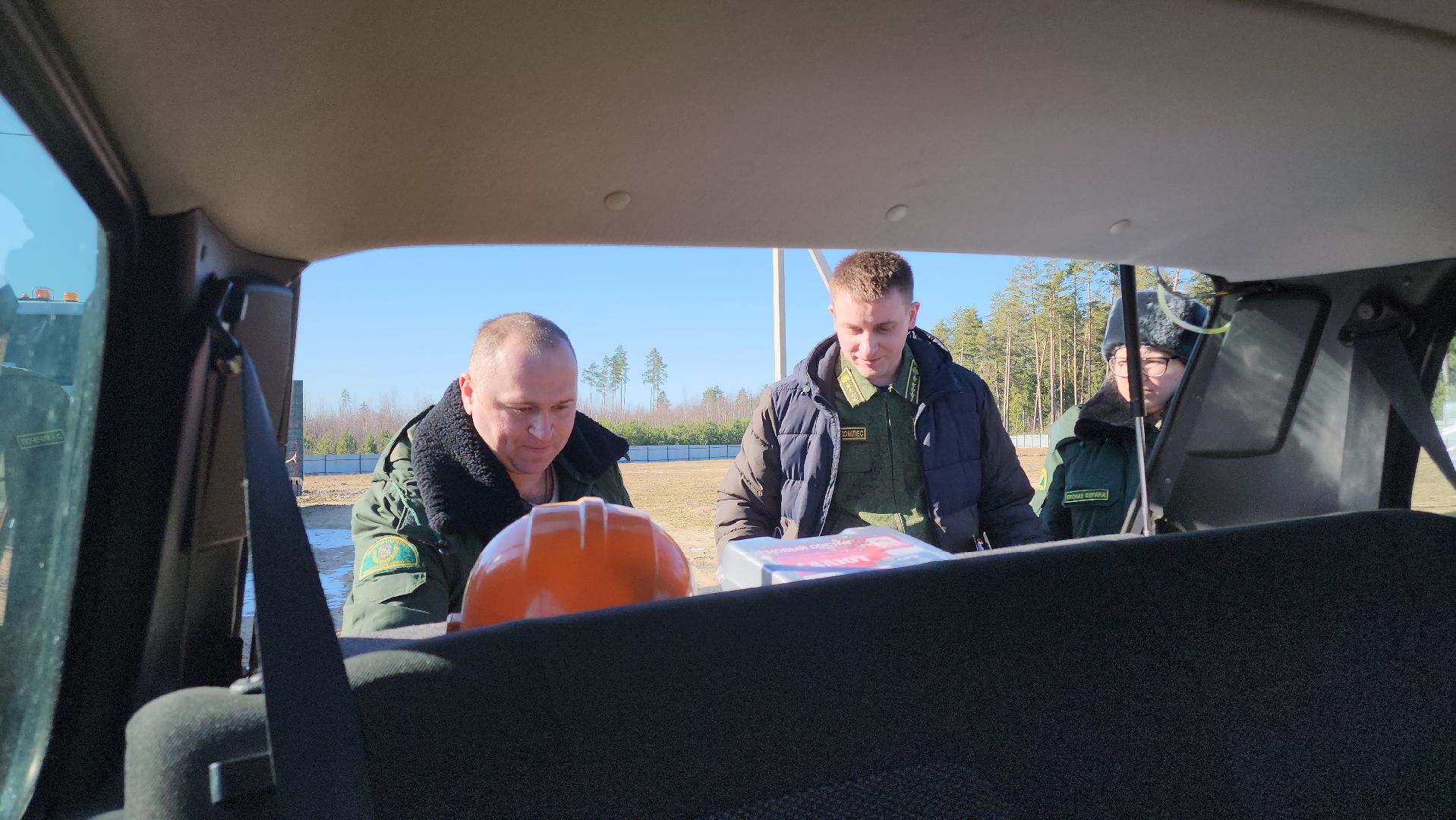 Егорьевск, Подмосковье, Лес, Московская область,