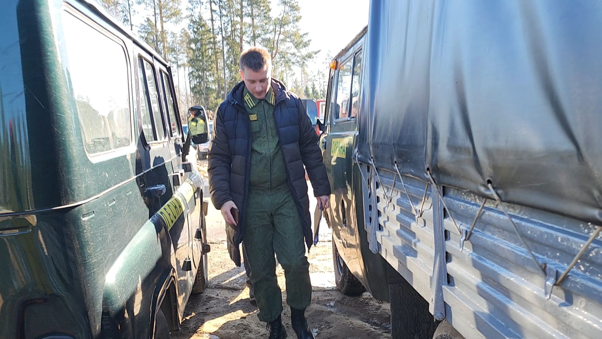 Егорьевск, Подмосковье, Лес, Московская область,