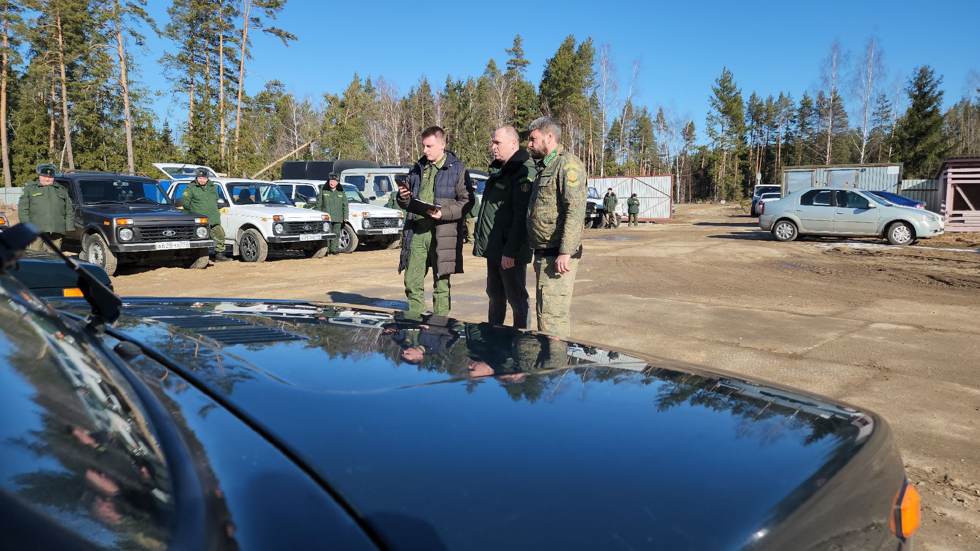 Егорьевск, Подмосковье, Лес, Московская область,