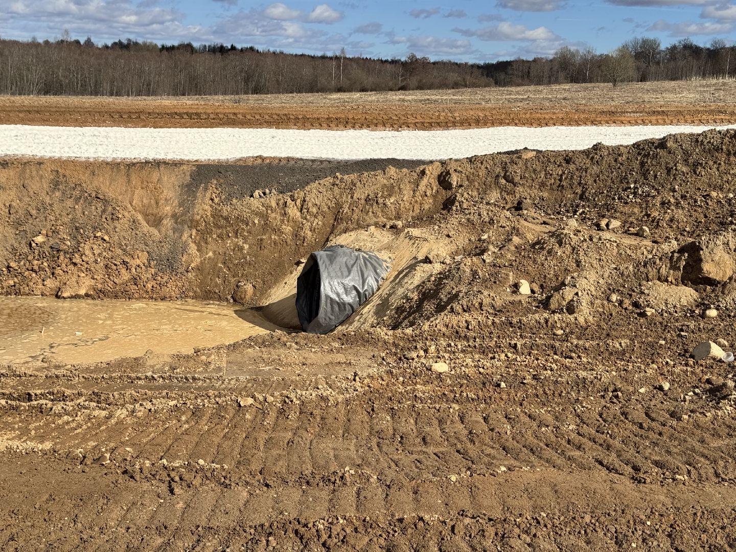 шаховская, дорога, федеральная дорога, расширение дороги,