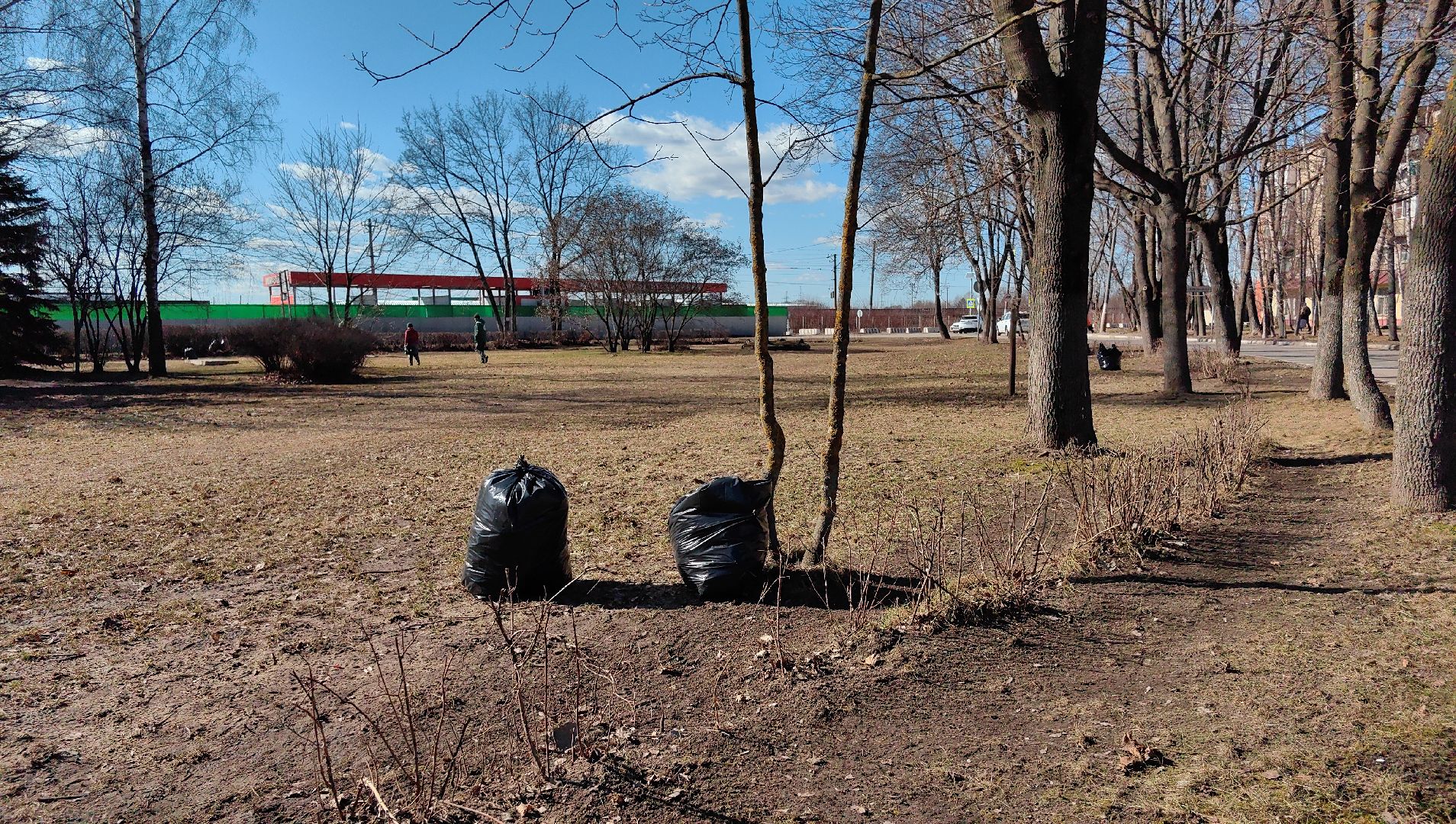 жкх и благоустройство, улица, дорога, уборка, листва, отходы,