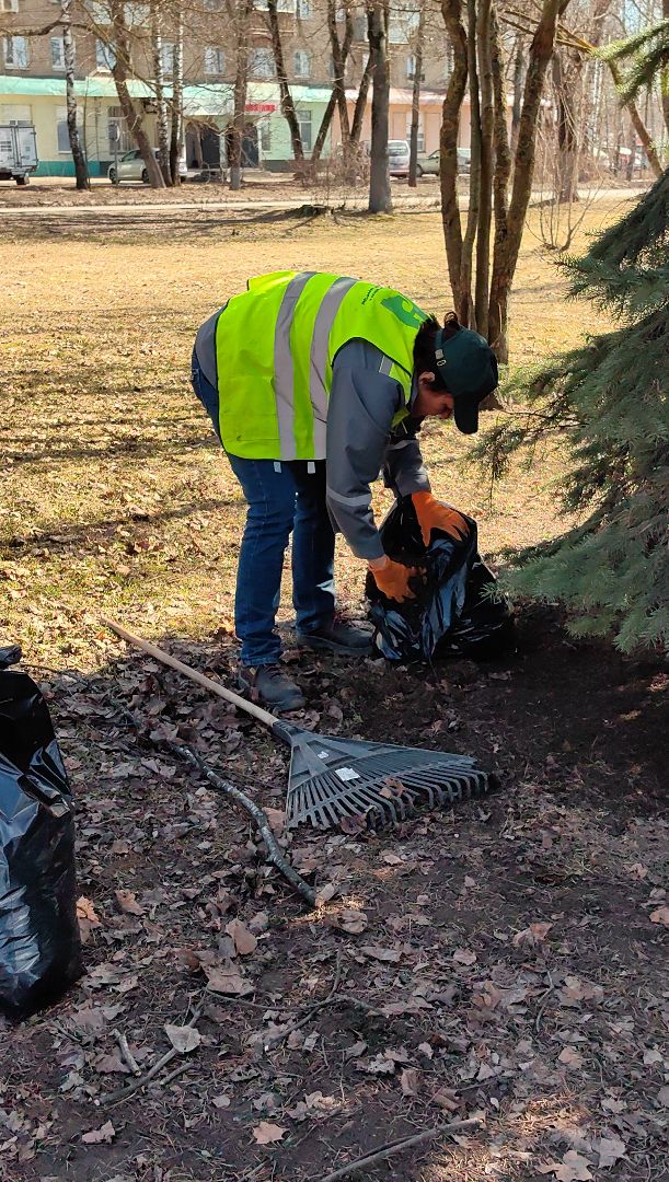жкх и благоустройство, улица, дорога, уборка, листва, отходы,