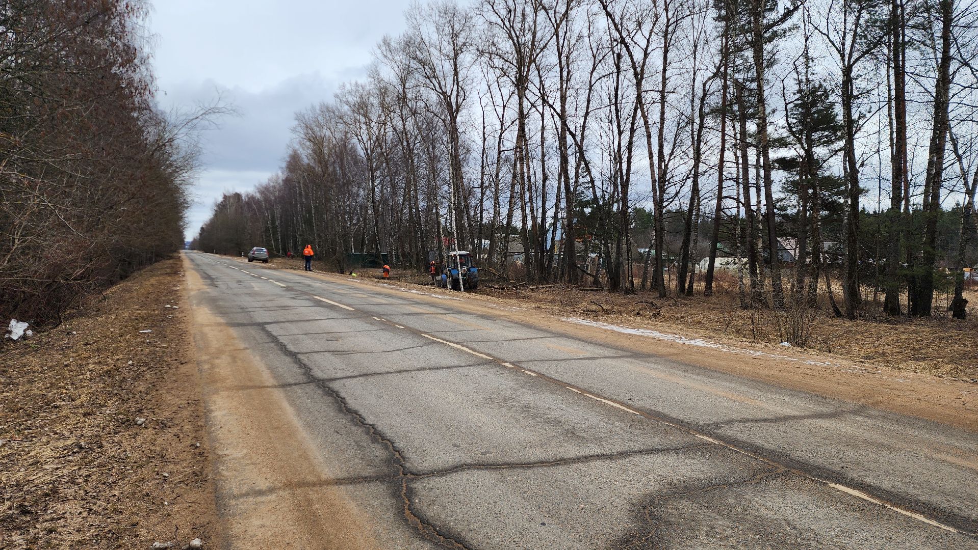благоустройство, аварийные деревья, истра,